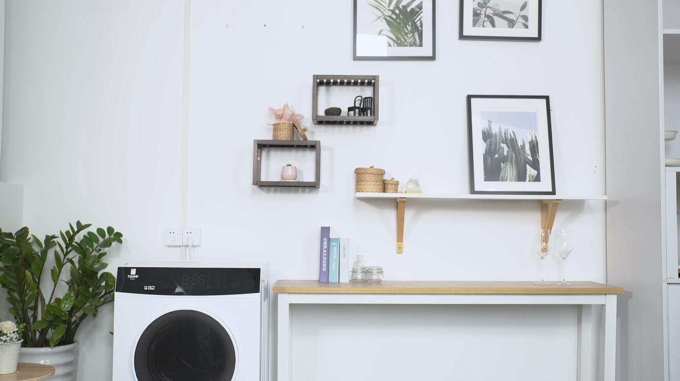 9kg滾筒干衣機(大容量)